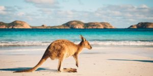 Work and Travel in Australien