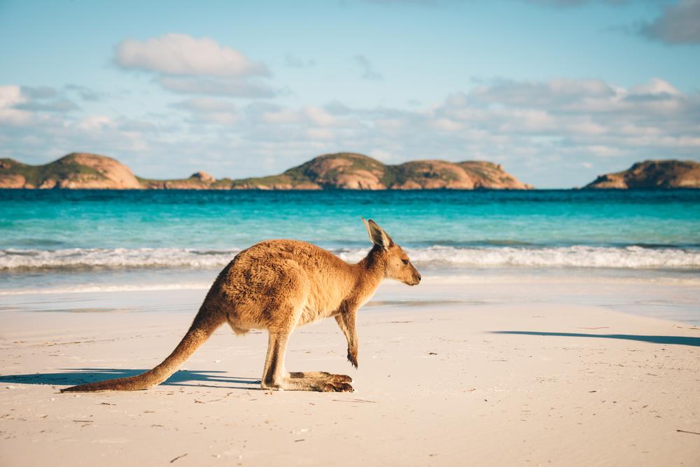 Work and Travel in Australien