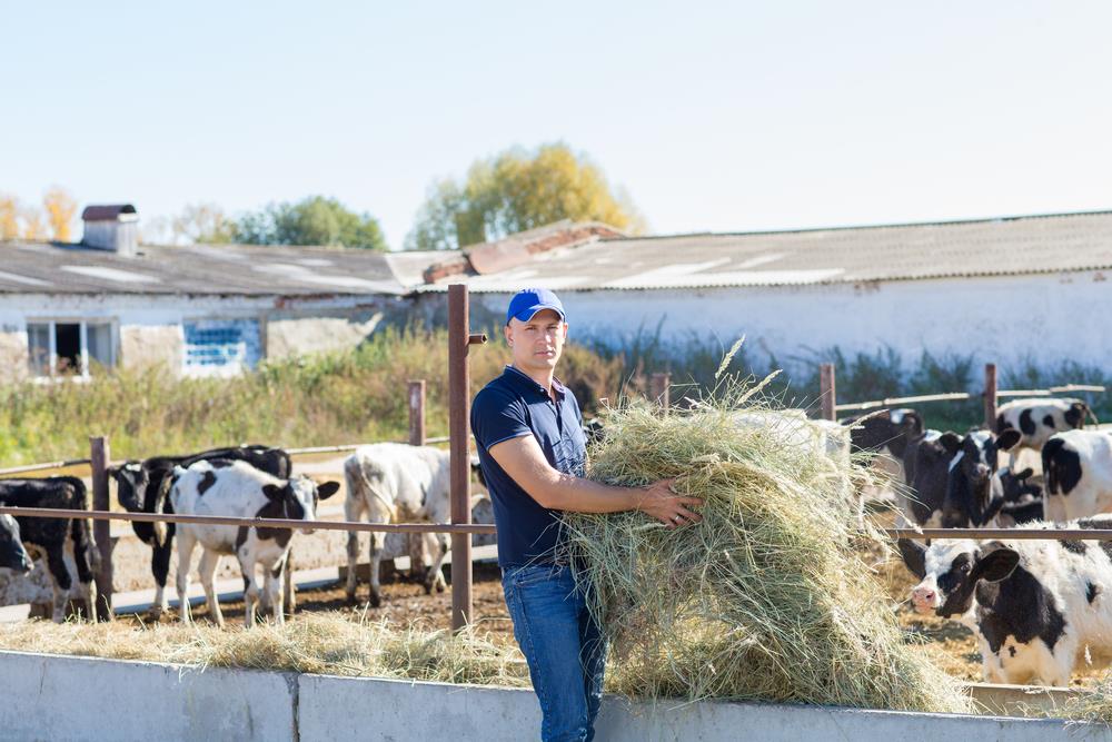 Farmarbeit im Ausland