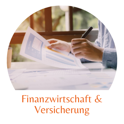 Kleines Bild für Finanzwirtschaft und Versicherung